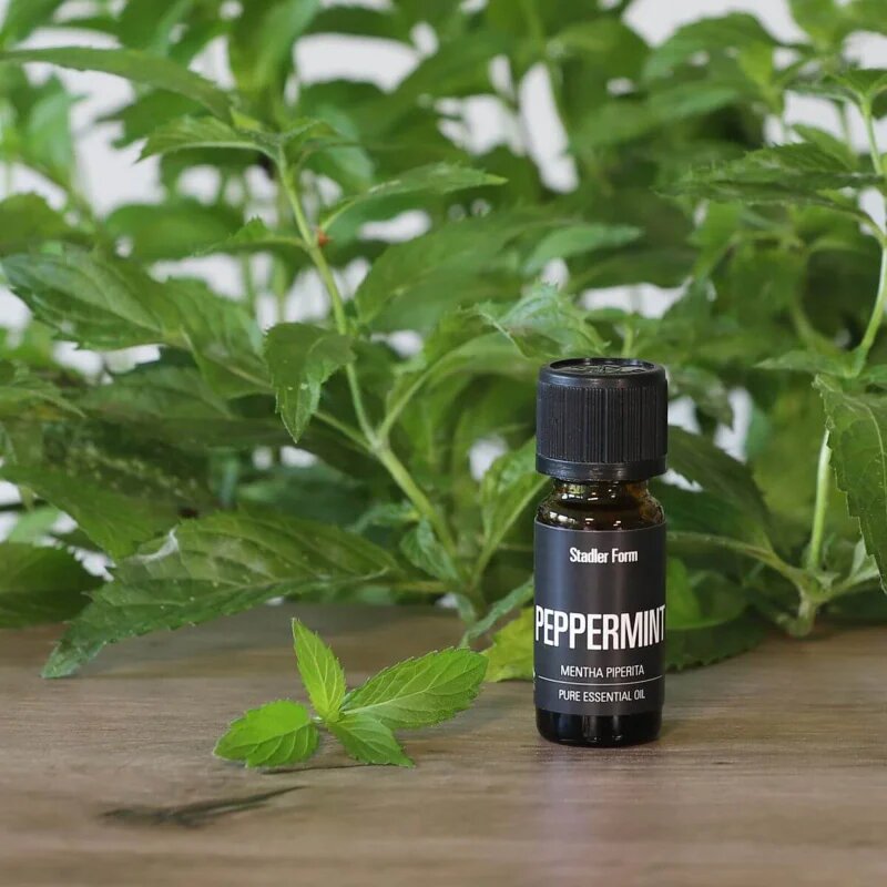 Stadler Form Peppermint illóolaj 10 ml