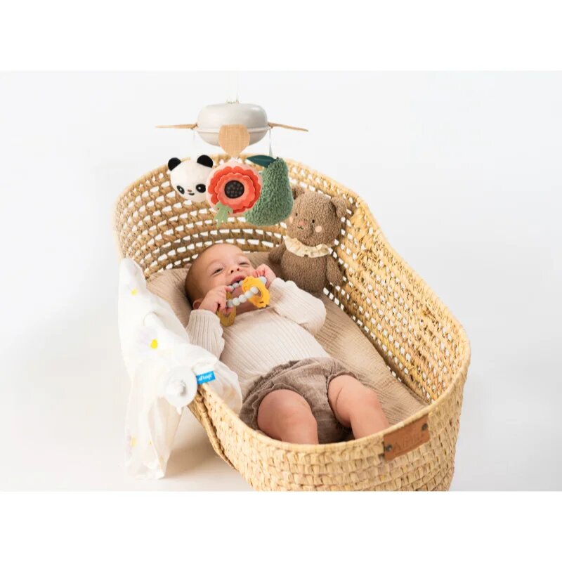 Taf Toys Luxury Newborn Kit ajándékszett újszülötteknek