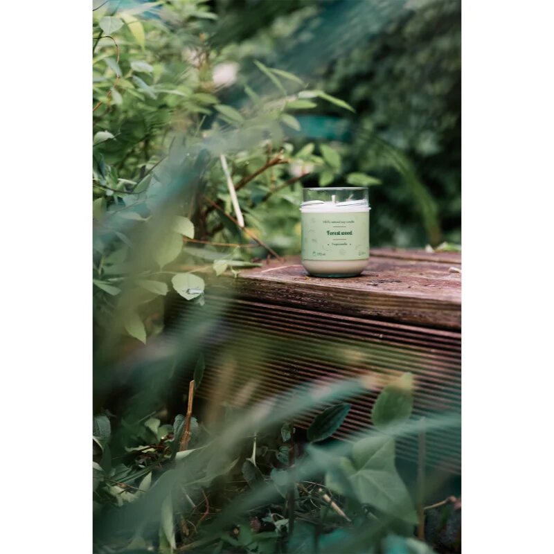Tropicandle Forest Wood illatgyertya 170 ml