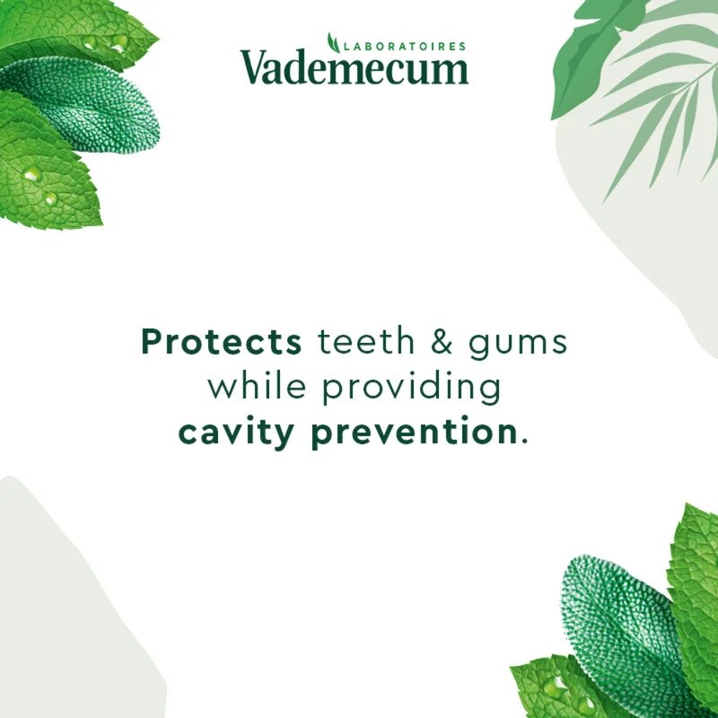 Vademecum BIO Complete Protection fogkrém gyógynövényekkel a teljeskörű fogápoláshoz 75 ml