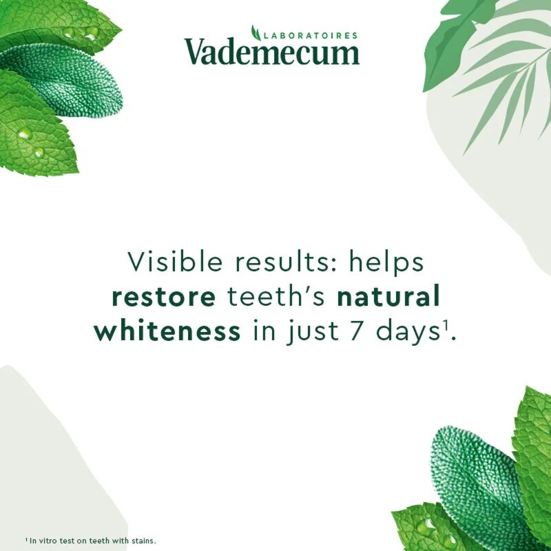 Vademecum BIO Natural Whitening fogkrém gyógynövényekkel fehérítő hatással 75 ml