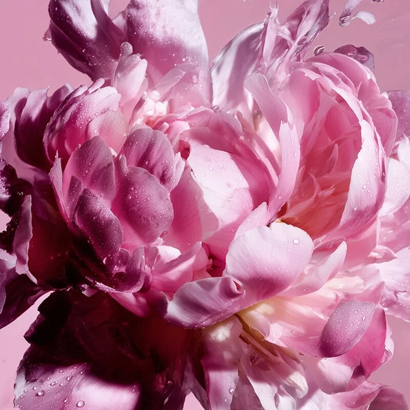 Viktor & Rolf Flowerbomb Pretty Peony Eau de Parfum hölgyeknek 30 ml