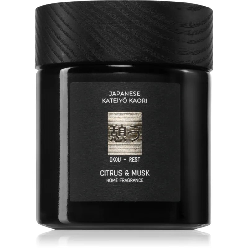 Vila Hermanos Apothecary Japanese Rest illatgyertya 150 g