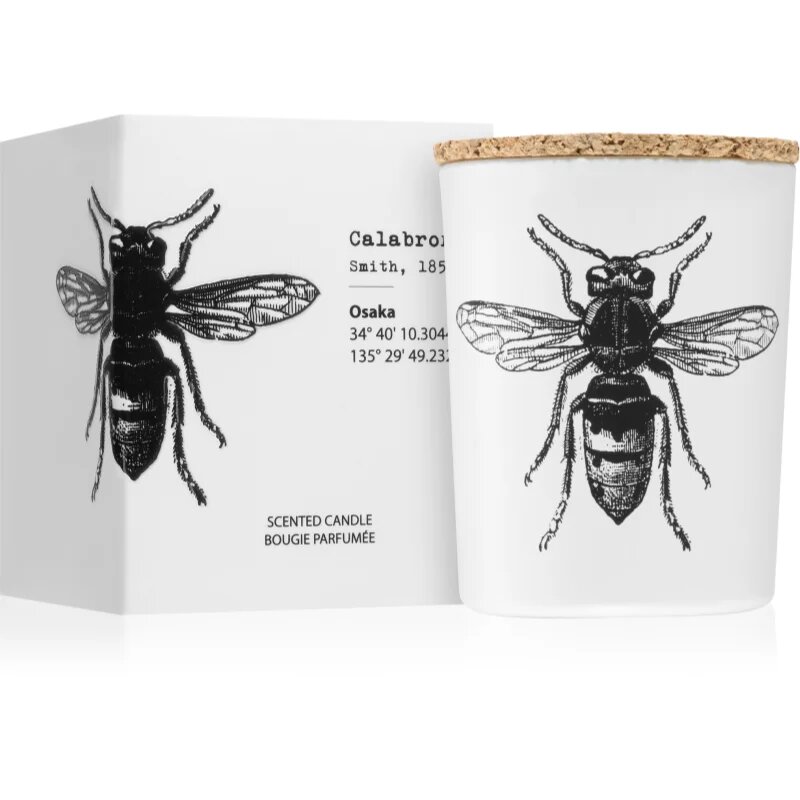 Vila Hermanos Insect Calabrone illatgyertya 75 g