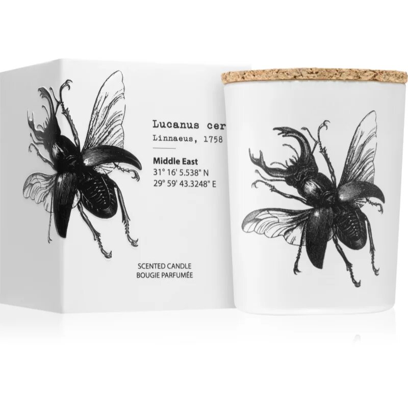 Vila Hermanos Insect Lucanus Cervus illatgyertya 75 g