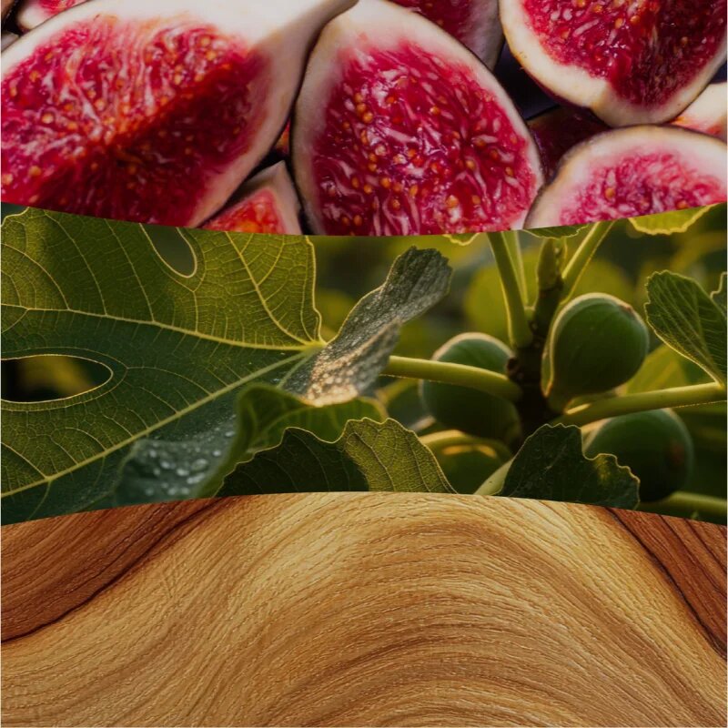 Woodwick Verdant Fig illatgyertya fa kanóccal 610 g