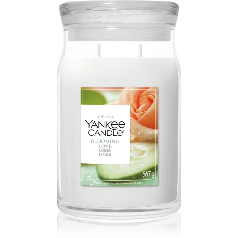 Yankee Candle Blooming Love illatgyertya 567 g