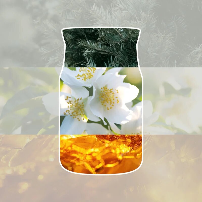 Yankee Candle Silver Birch illatgyertya 368 g