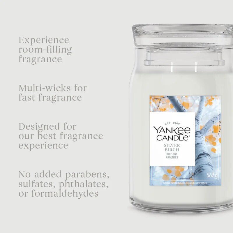 Yankee Candle Silver Birch illatgyertya 368 g