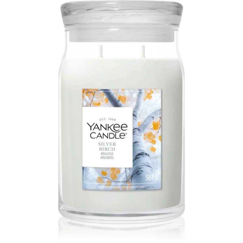 Yankee Candle Silver Birch illatgyertya 567 g